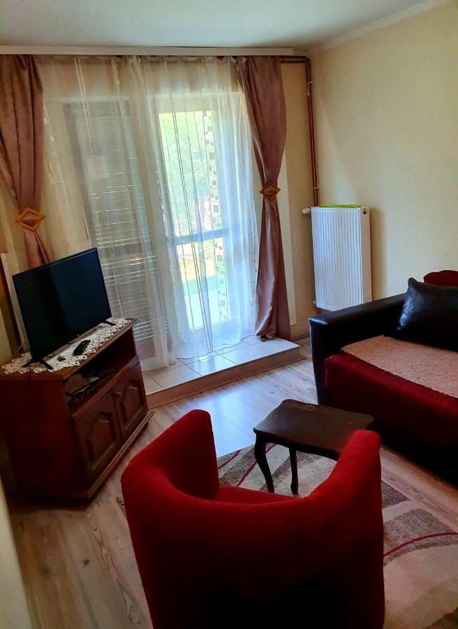 Apartman Sergej 2 Сокобаня Екстер'єр фото
