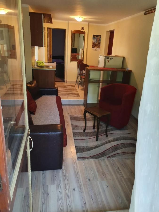 Apartman Sergej 2 Сокобаня Екстер'єр фото