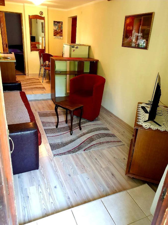 Apartman Sergej 2 Сокобаня Екстер'єр фото