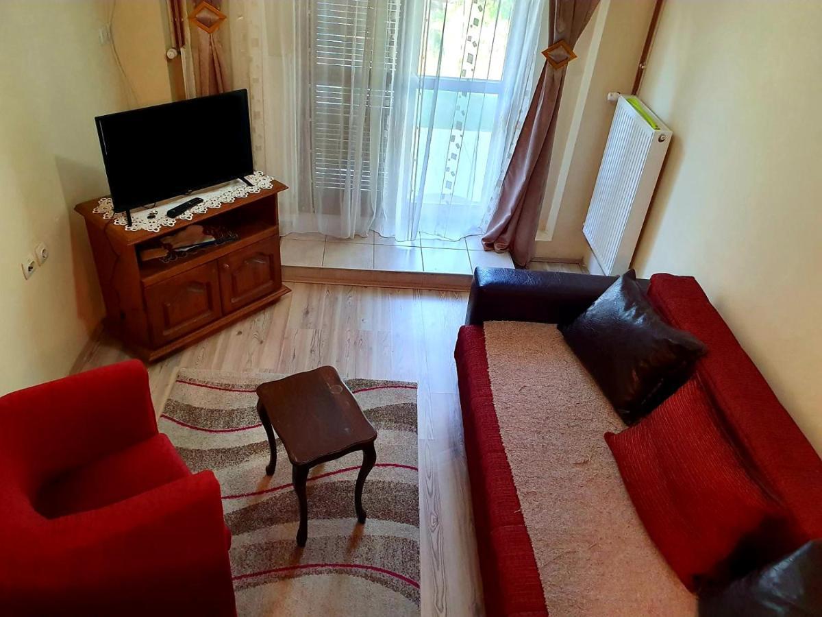 Apartman Sergej 2 Сокобаня Екстер'єр фото