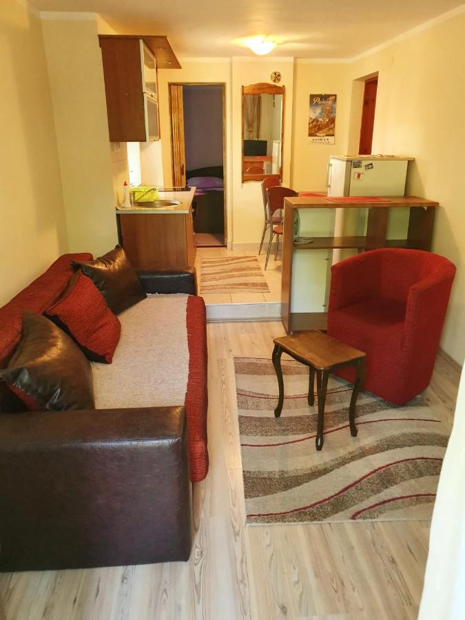 Apartman Sergej 2 Сокобаня Екстер'єр фото