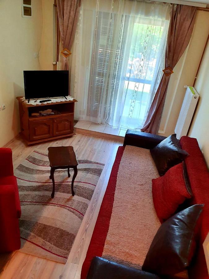 Apartman Sergej 2 Сокобаня Екстер'єр фото